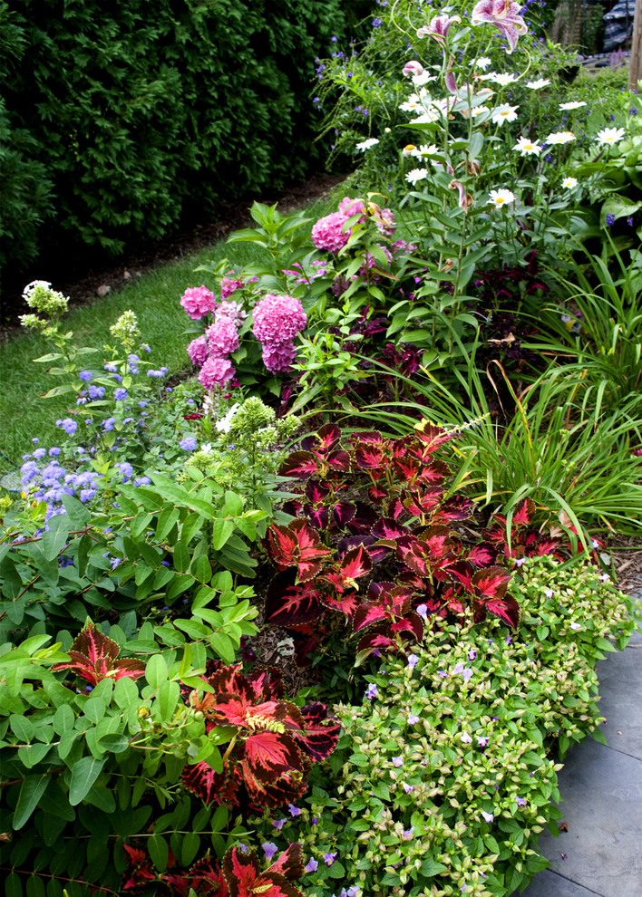 Design ideas for a mid-sized traditional backyard formal garden in New York with a container garden.