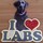 Last commented by Sheri Kingersky Romblad