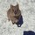 stephanie_taupin