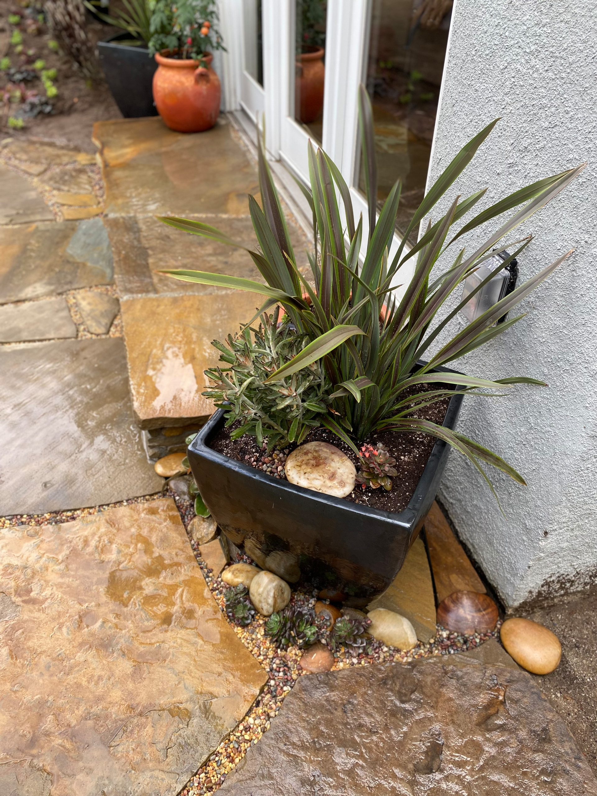Hermosa Beach: Pollinator Garden