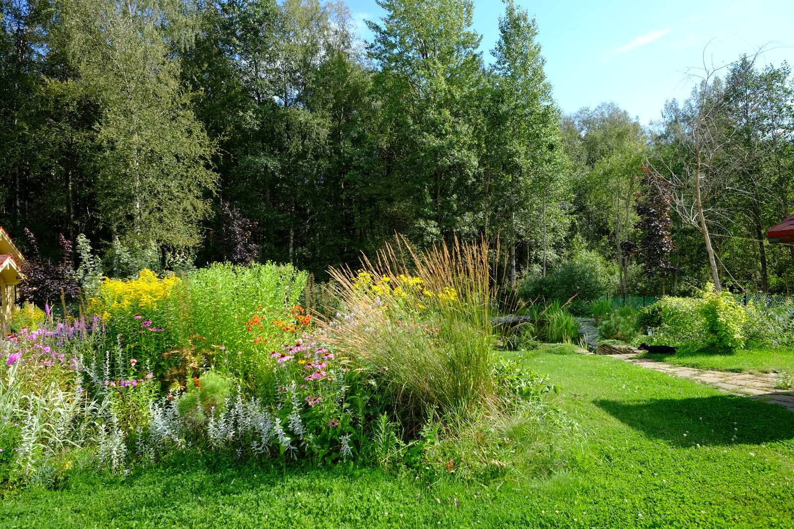 Зеркальный Ландшафтное проектирование