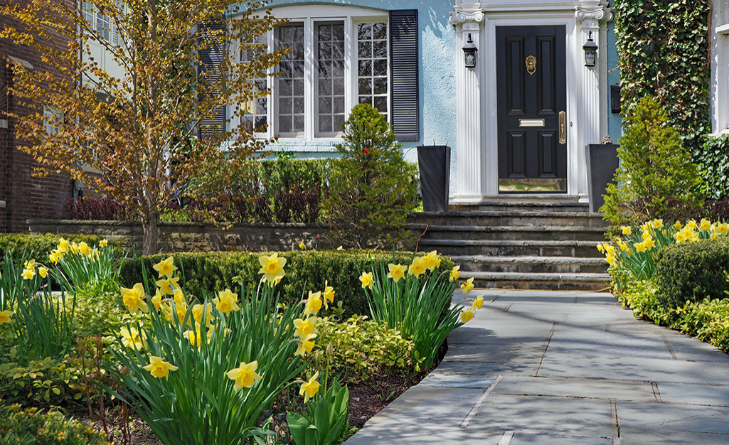 Spring has arrived with Daffodils blooming at the entrance to this fine home