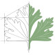 Fancy Parsley Architecture + Design