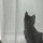 webuser_601737660
