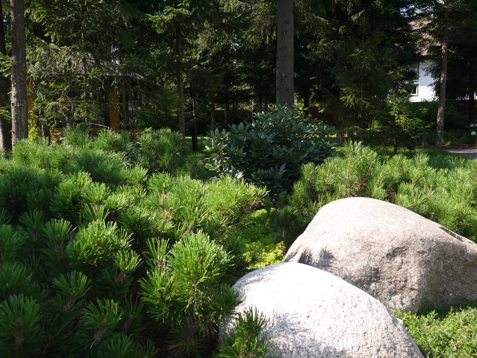 Белоостров