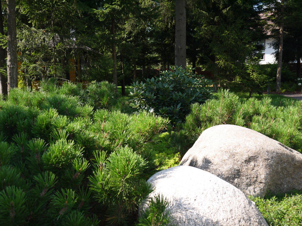 Белоостров