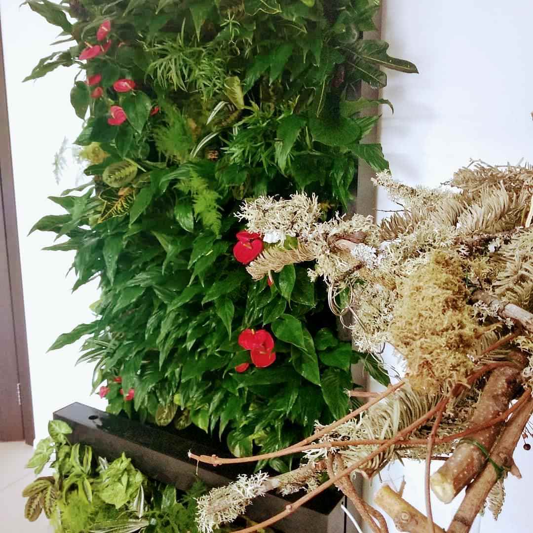 Новенькие реализованные проекты