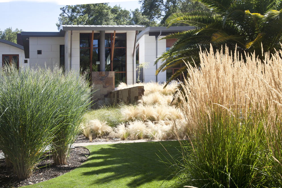 This is an example of a contemporary full sun garden in San Francisco.