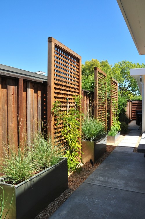 Even lattice with a smaller opening between slats can allow the vines to crawl and line the sides of overhangs.