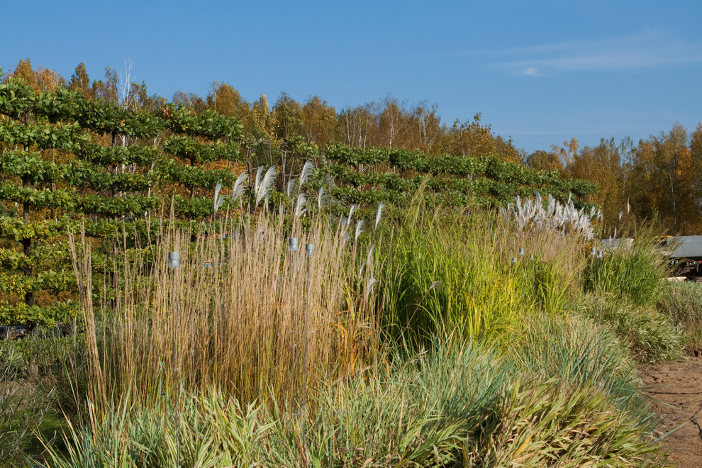 Маленькая Италия