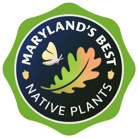 Affiliations and certifications