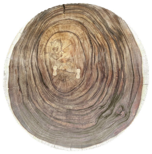 Monkey Pod Scalloped Coffee Table - Rustic - Coffee Tables - by Design ...