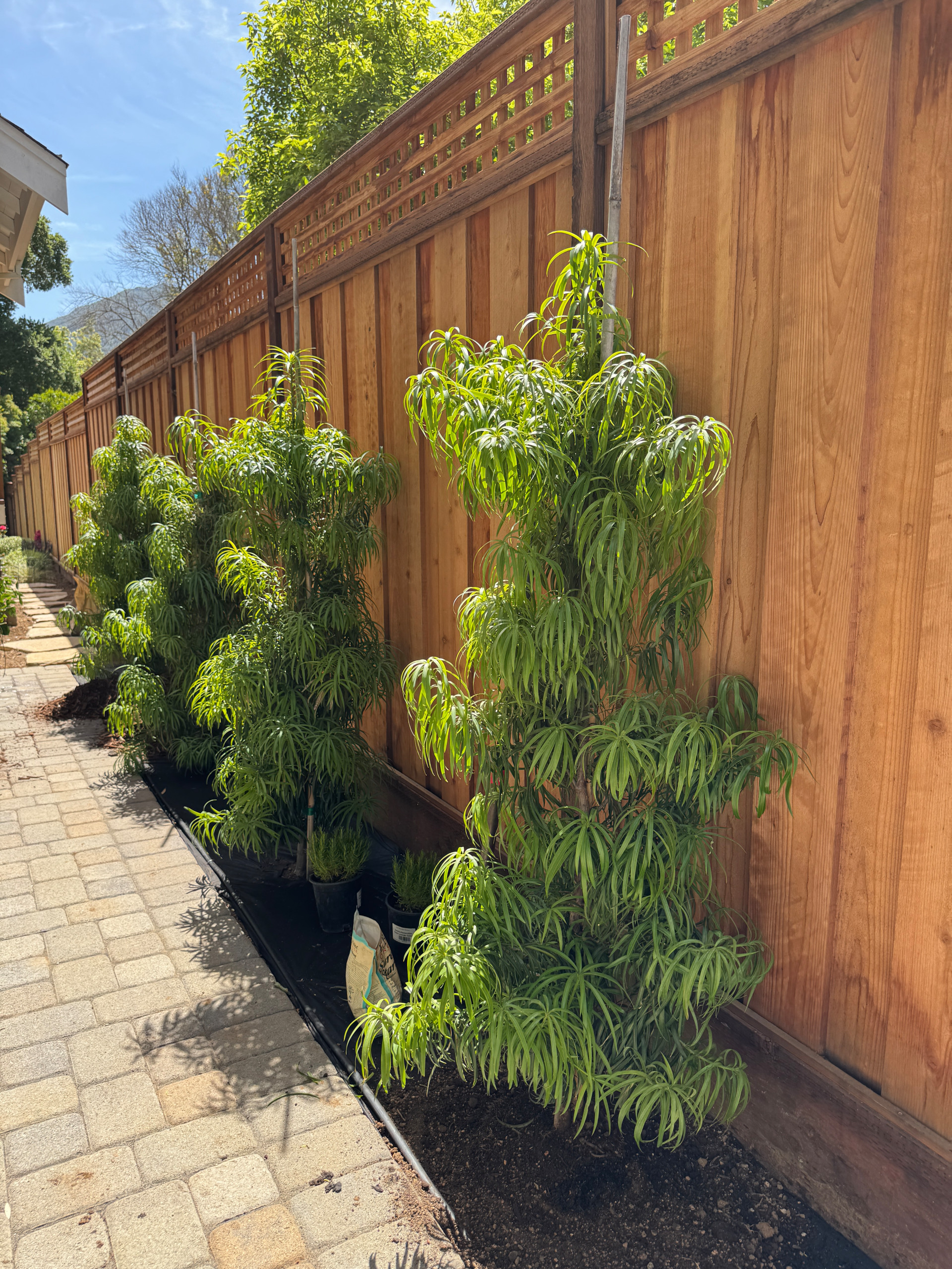 Cottage-Style Garden