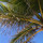 kathleen_mullen67
