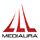Mediaura Inc.