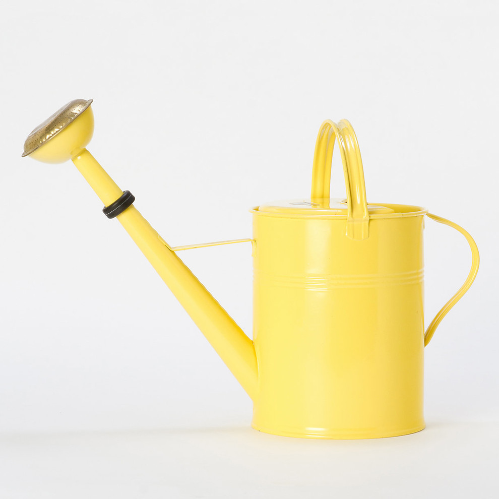 Sunny Side Watering Can