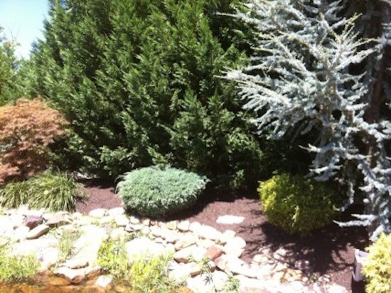 Design ideas for a mid-sized transitional full sun backyard landscaping for spring.