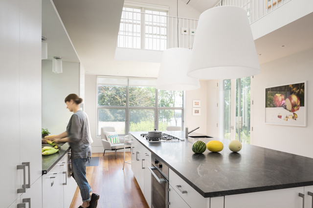 House in Town transitional-kitchen