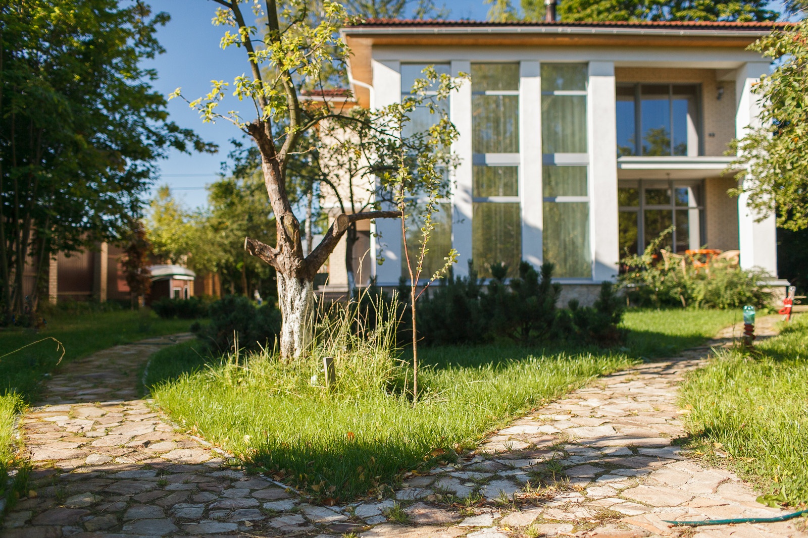 Проект "Горская"