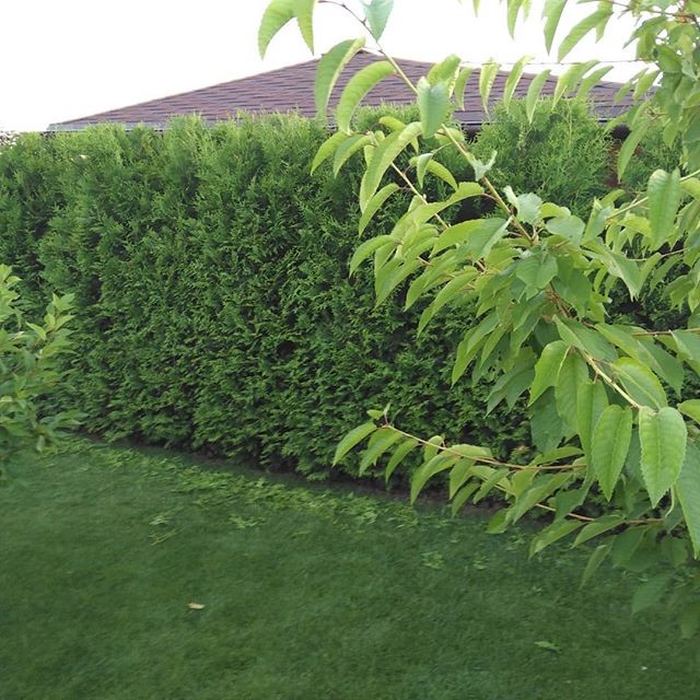 Дизайн маленького участка