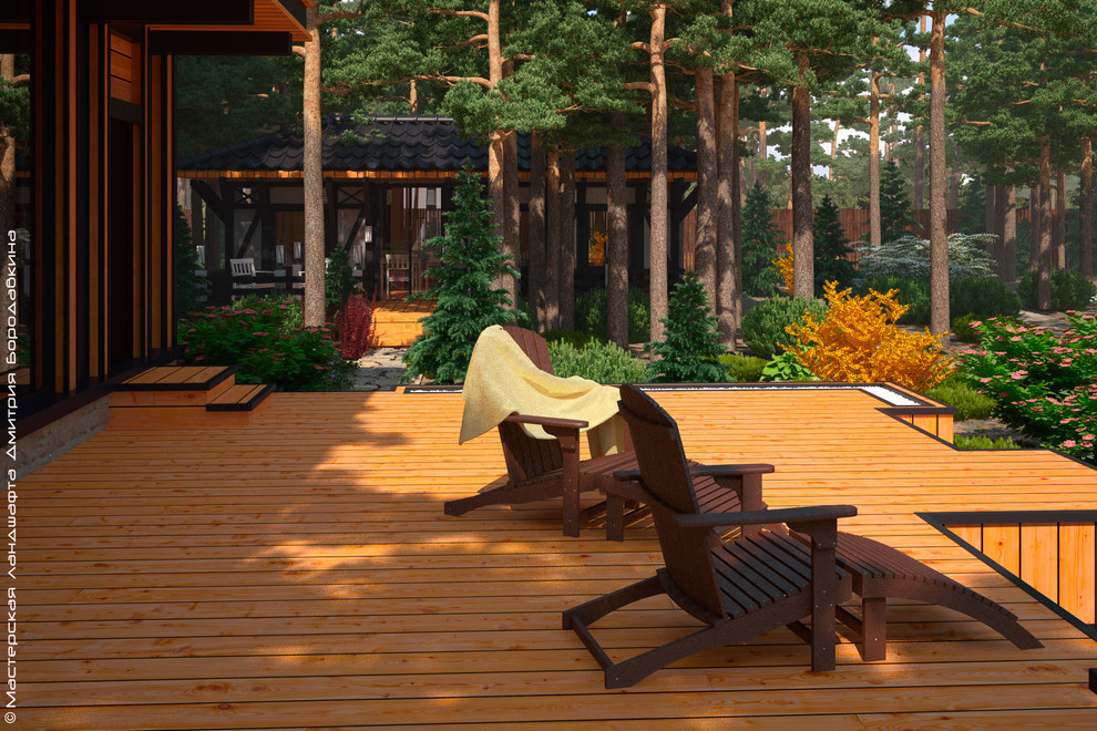 Утро в сосновом лесу