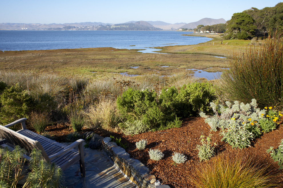 Design ideas for an expansive beach style backyard garden in San Luis Obispo.