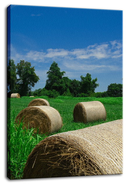 Hay Whatcha Doin in the Field Landscape Photo Canvas Wall Art Print, 24" X 36"