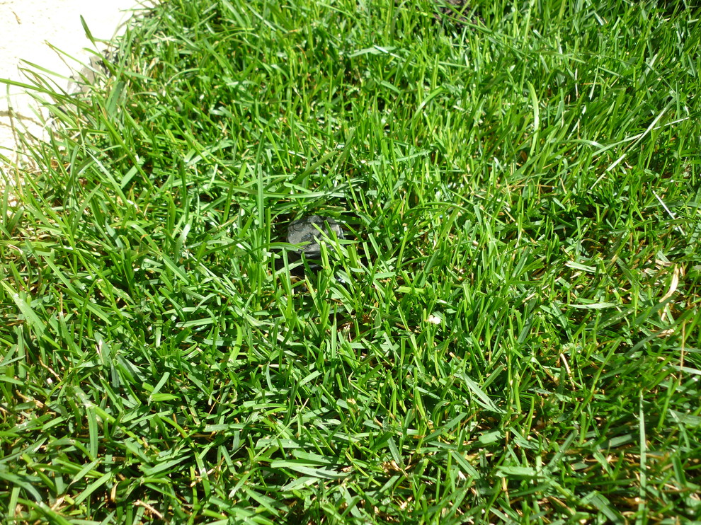 Системы полива