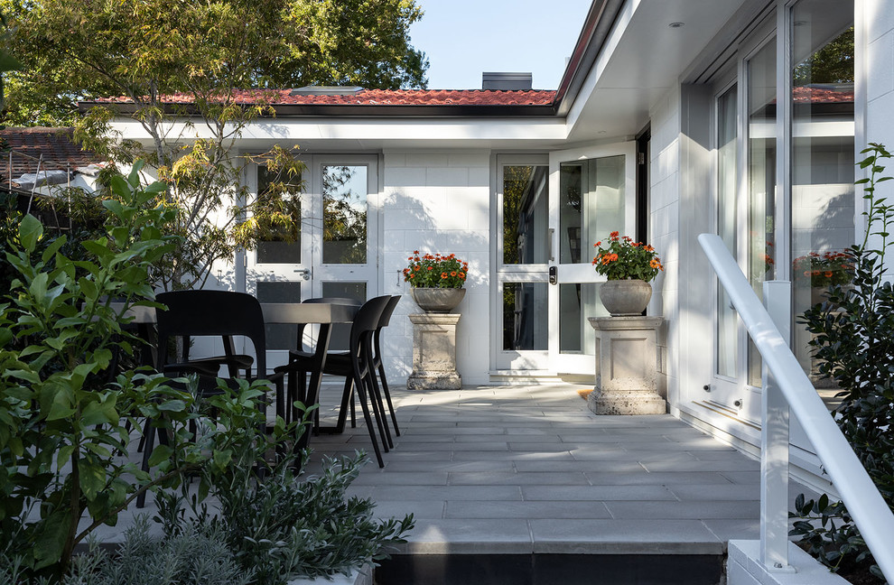 Photo of a small contemporary courtyard patio in Auckland with concrete pavers and no cover.