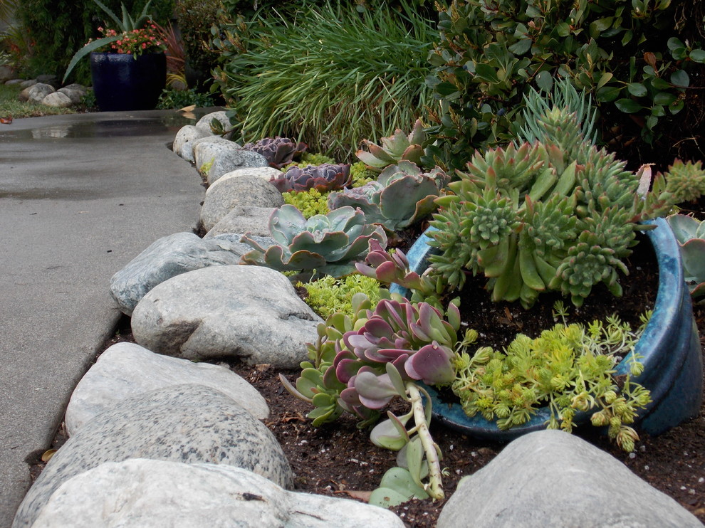 Inspiration for a coastal landscaping in Los Angeles.