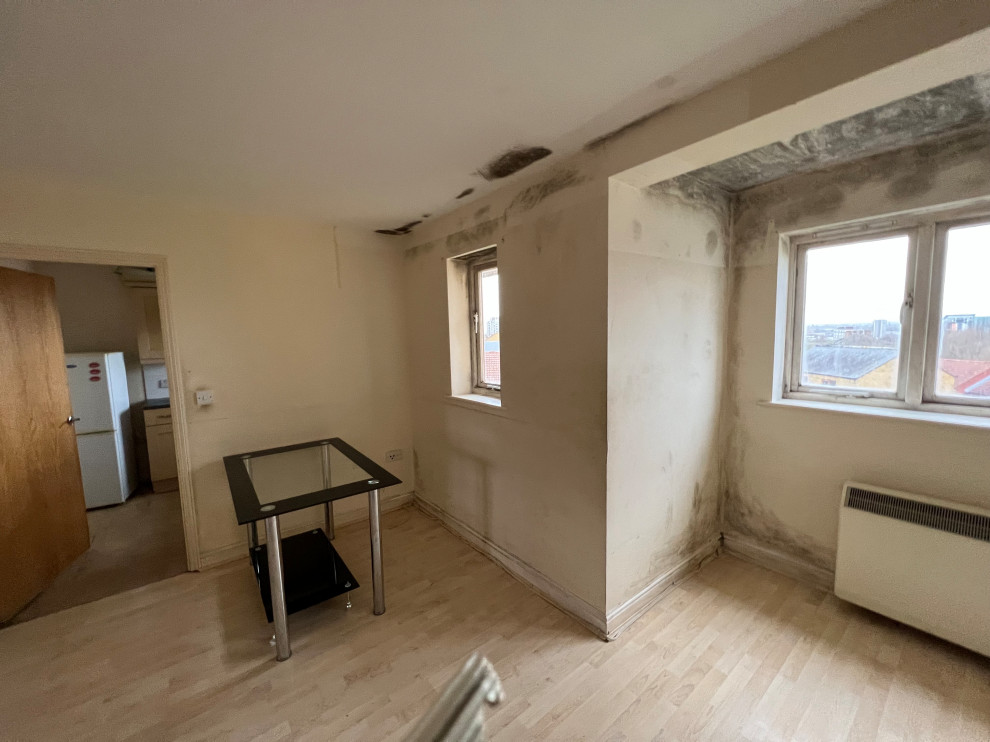 Renovate and Stage a Flat for Rent