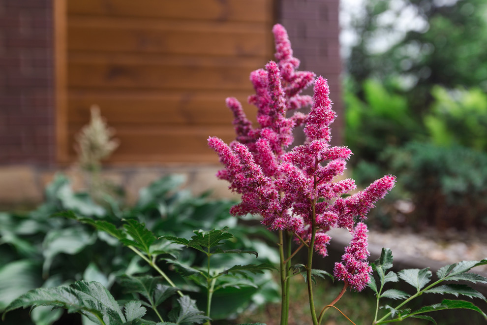 Экстерьер загородного дома