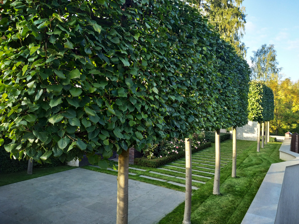 Сад четырех стихий