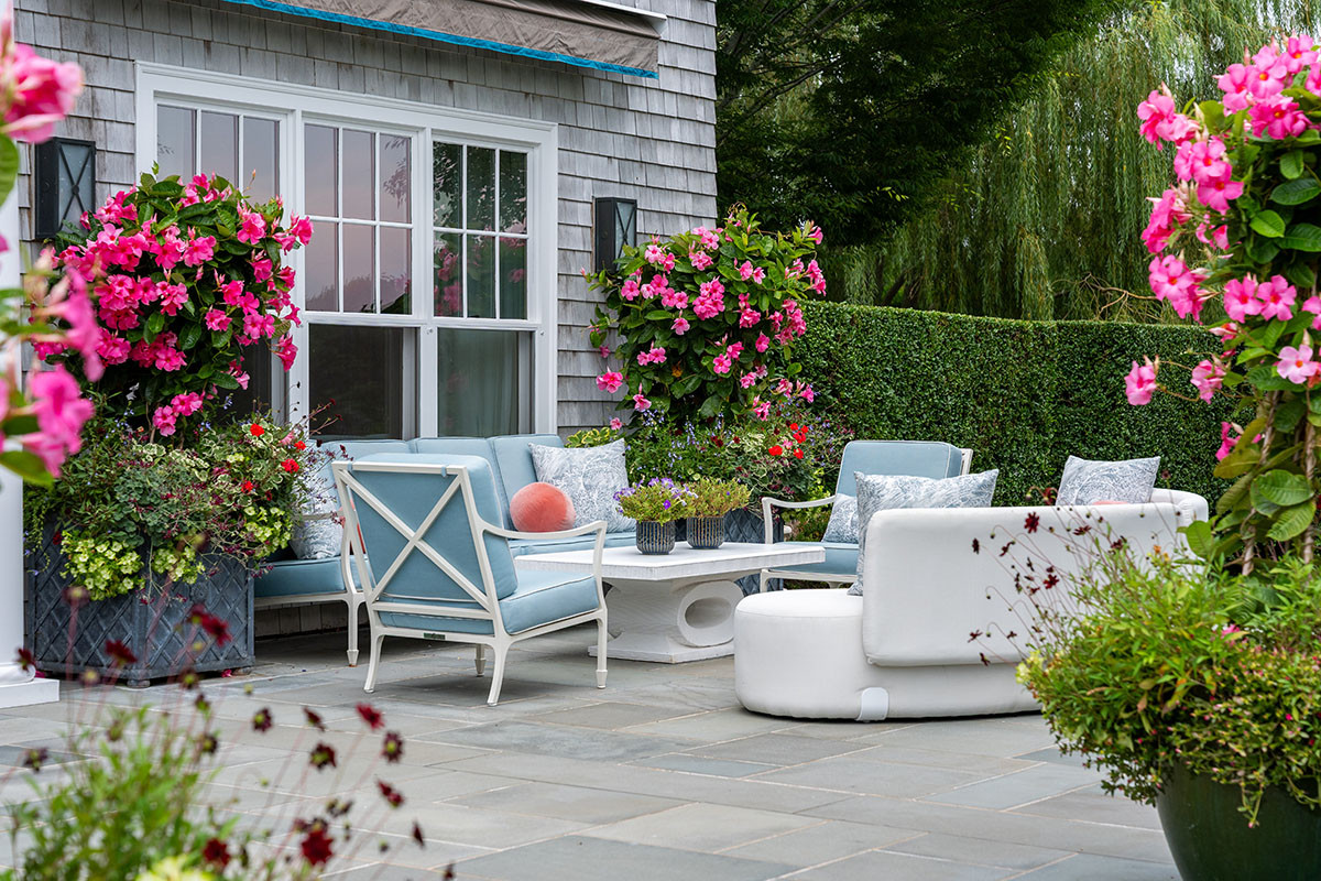 Plumbagoes on Blue Cushion Flagstone Patio by Peter Atkins and Associates