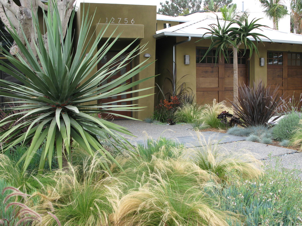 Design ideas for a contemporary front yard garden in San Diego.