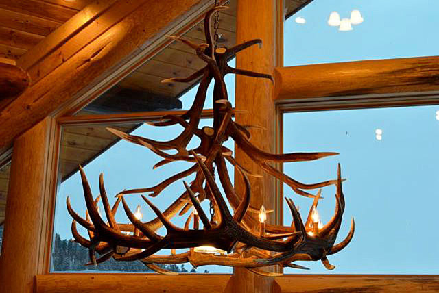 Elk Antlers Photos Ideas Houzz