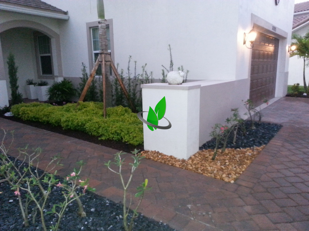 Inspiration for a front yard gravel landscaping.