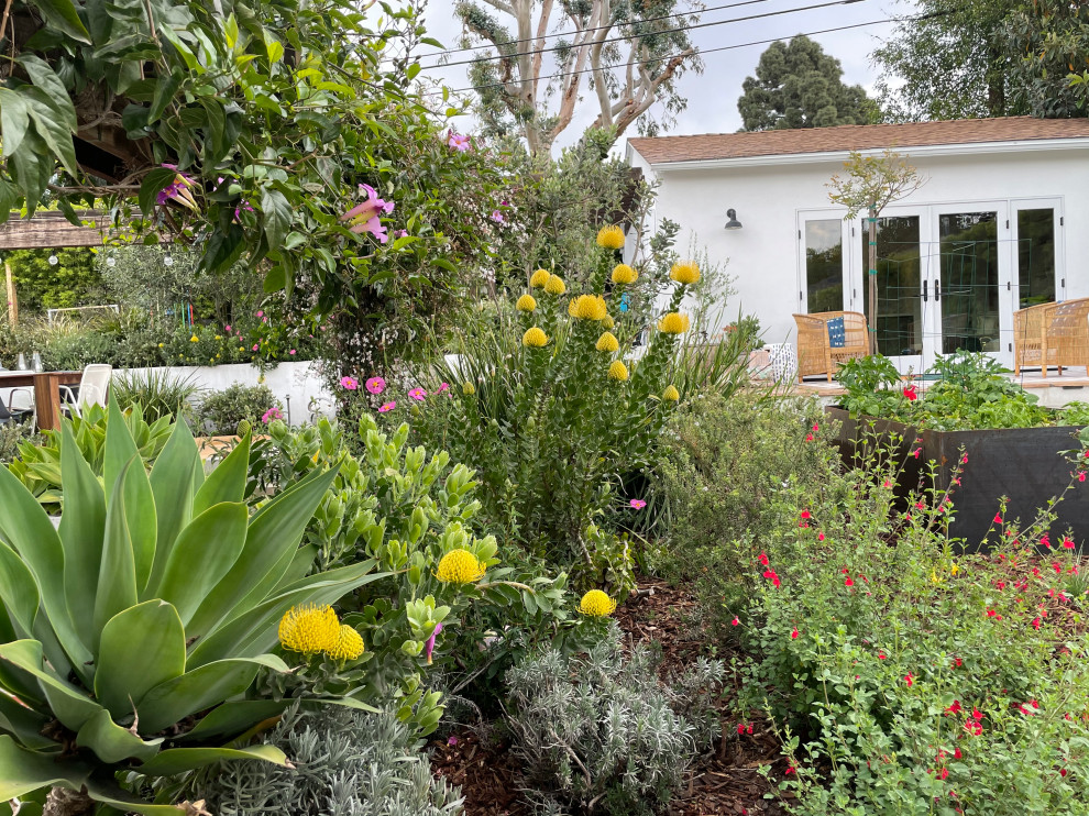 Design ideas for a mid-sized mediterranean side yard full sun xeriscape for spring in Los Angeles with a garden path and natural stone pavers.