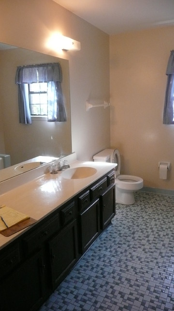 Transitional bathroom transitional