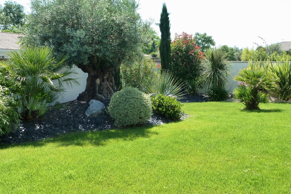 Cette image montre un jardin.