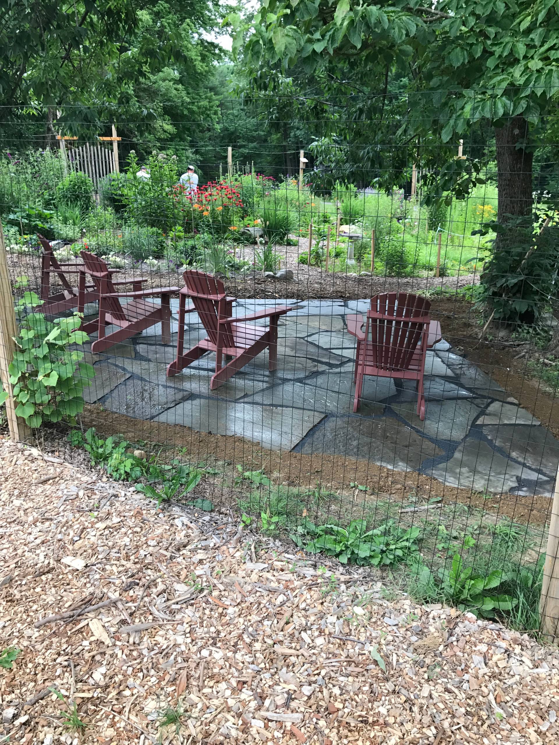Day Camp Butterfly Patio