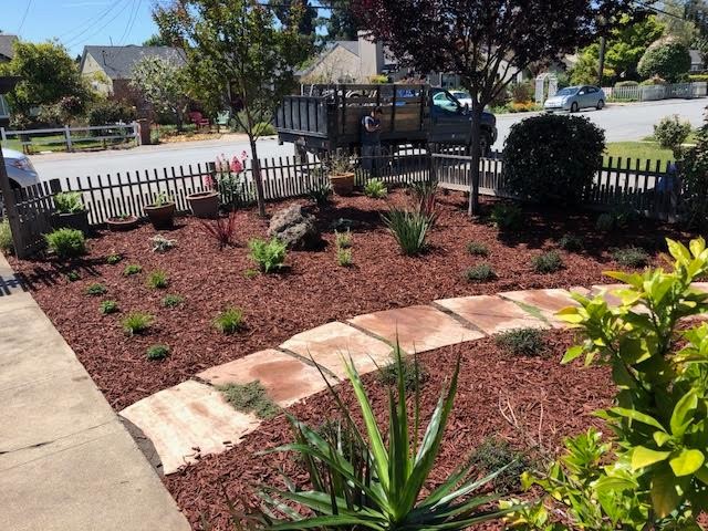 Drought Tolerant Landscaping- Front & Backyard