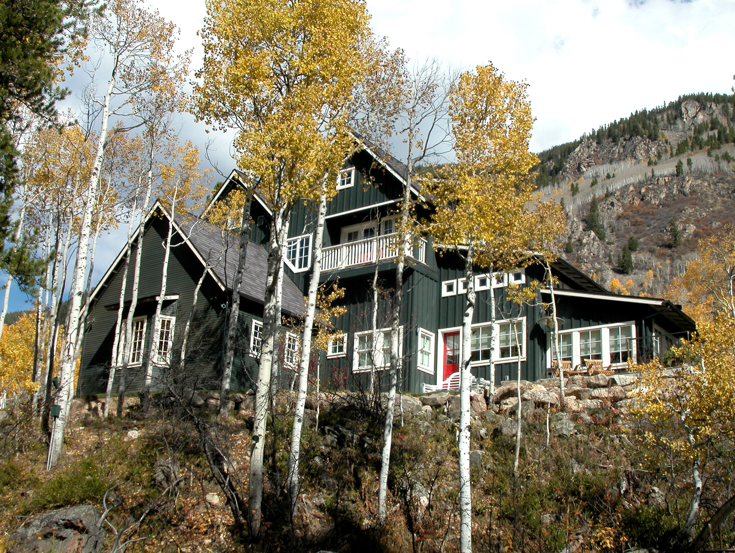 Mountain Estate in Aspen