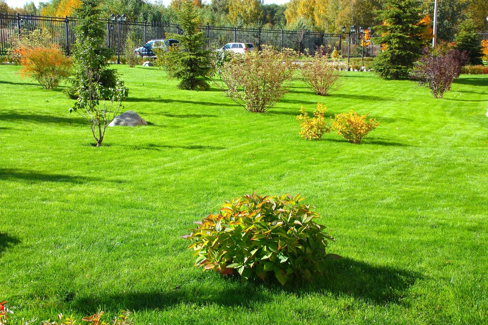 Газон Канада Грин Элитный