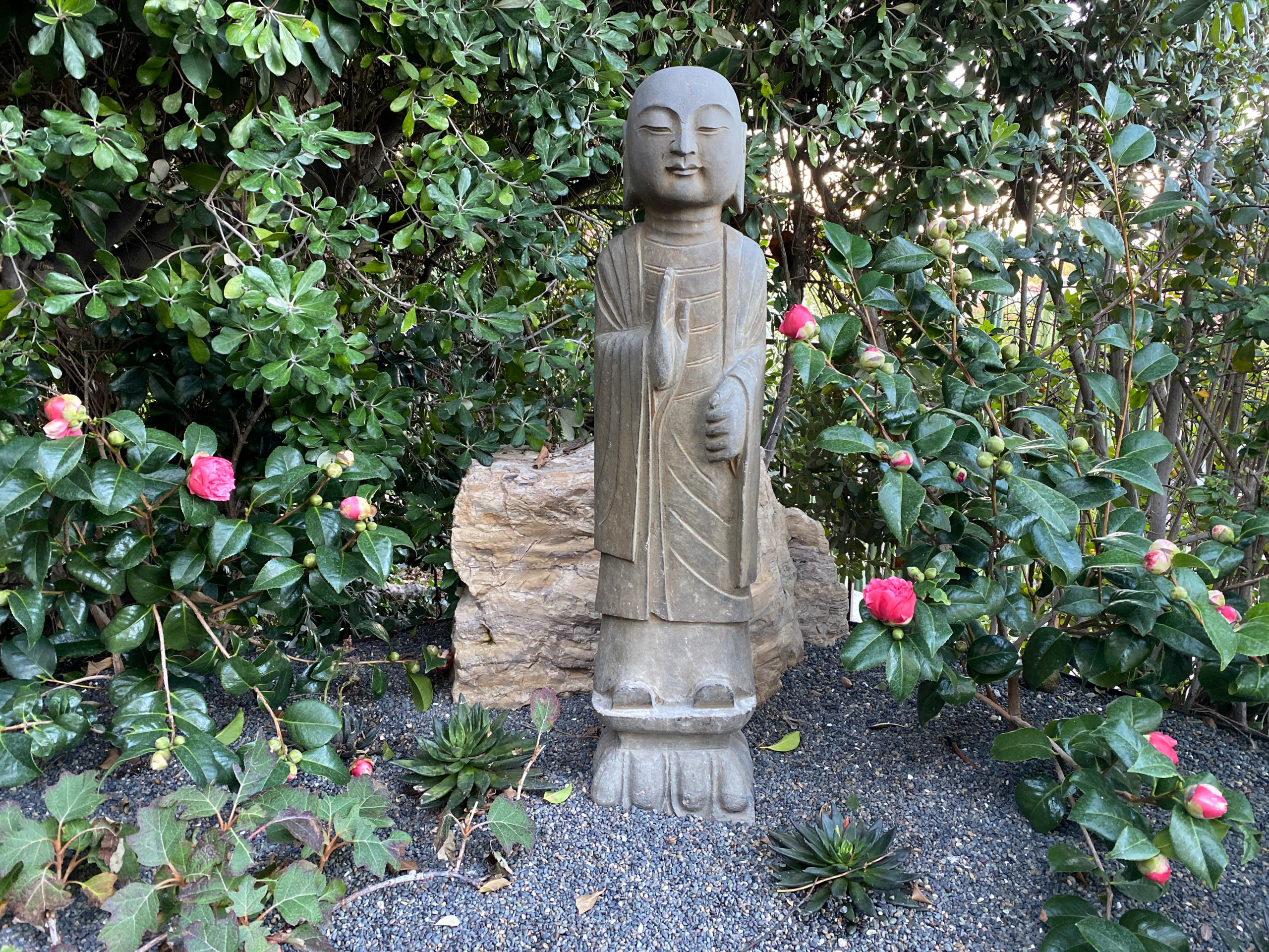 Design ideas for a landscaping in Los Angeles.