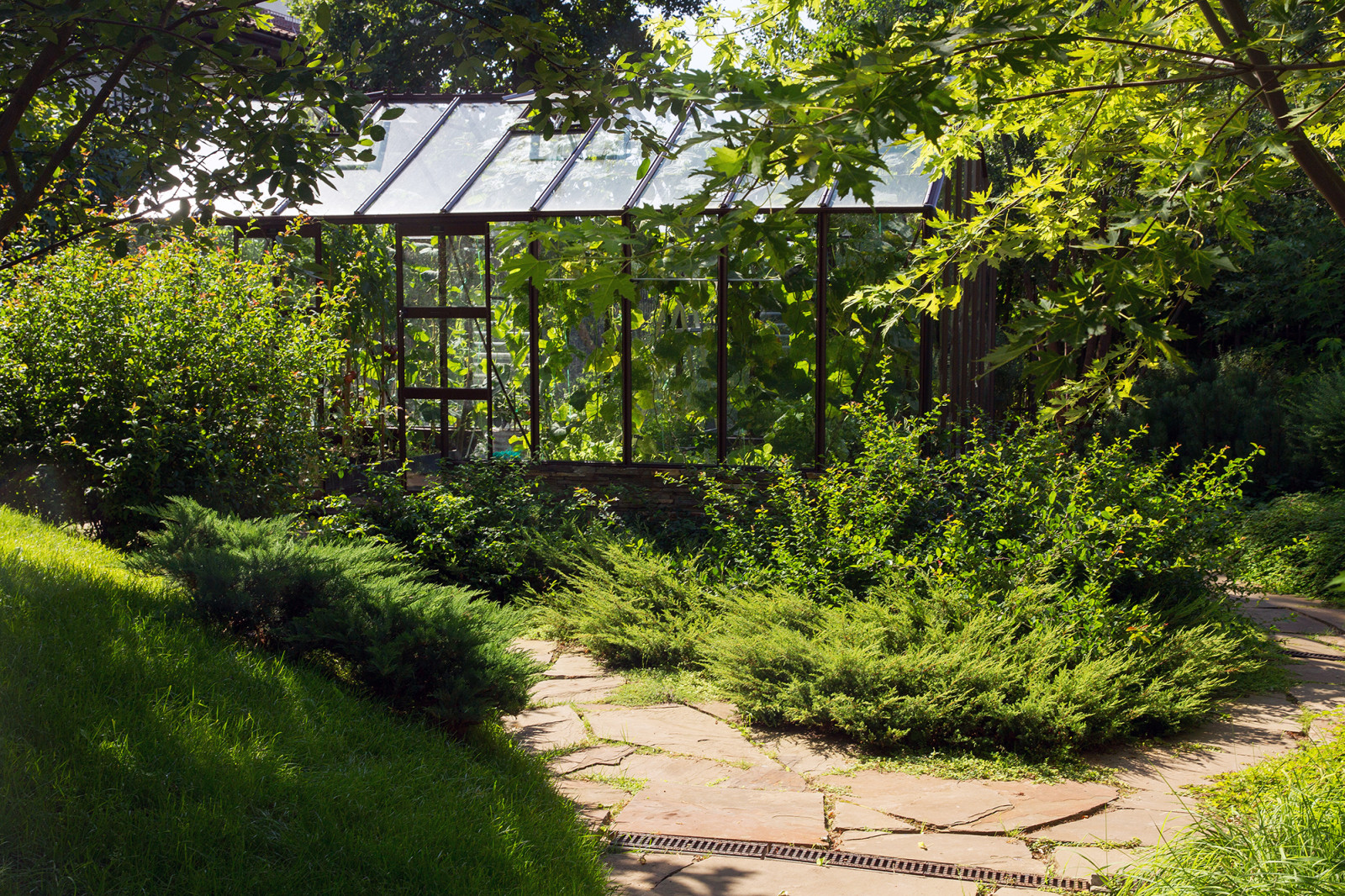 Garden of Elena Astashkina in Moscow Region