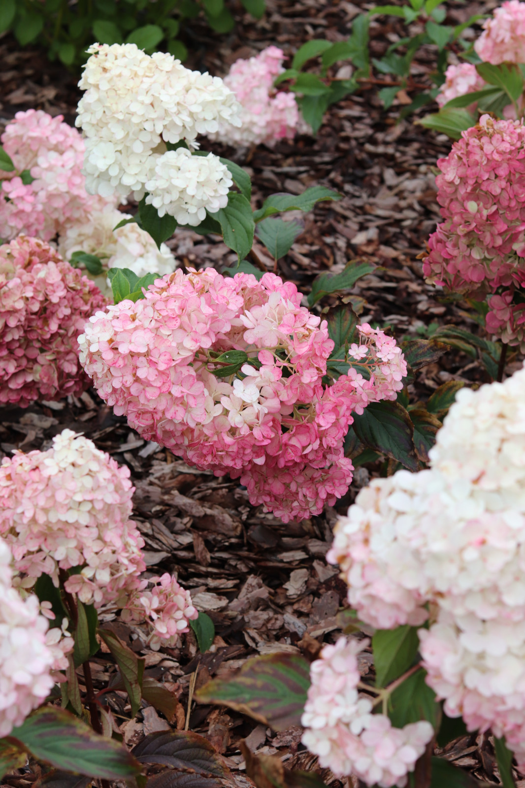 Айдаровский ручей