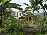 Il Cottage Bungalow Sostenibile in Ecuador Fatto di Legno e Bambù (11 photos) - image  on http://www.designedoo.it