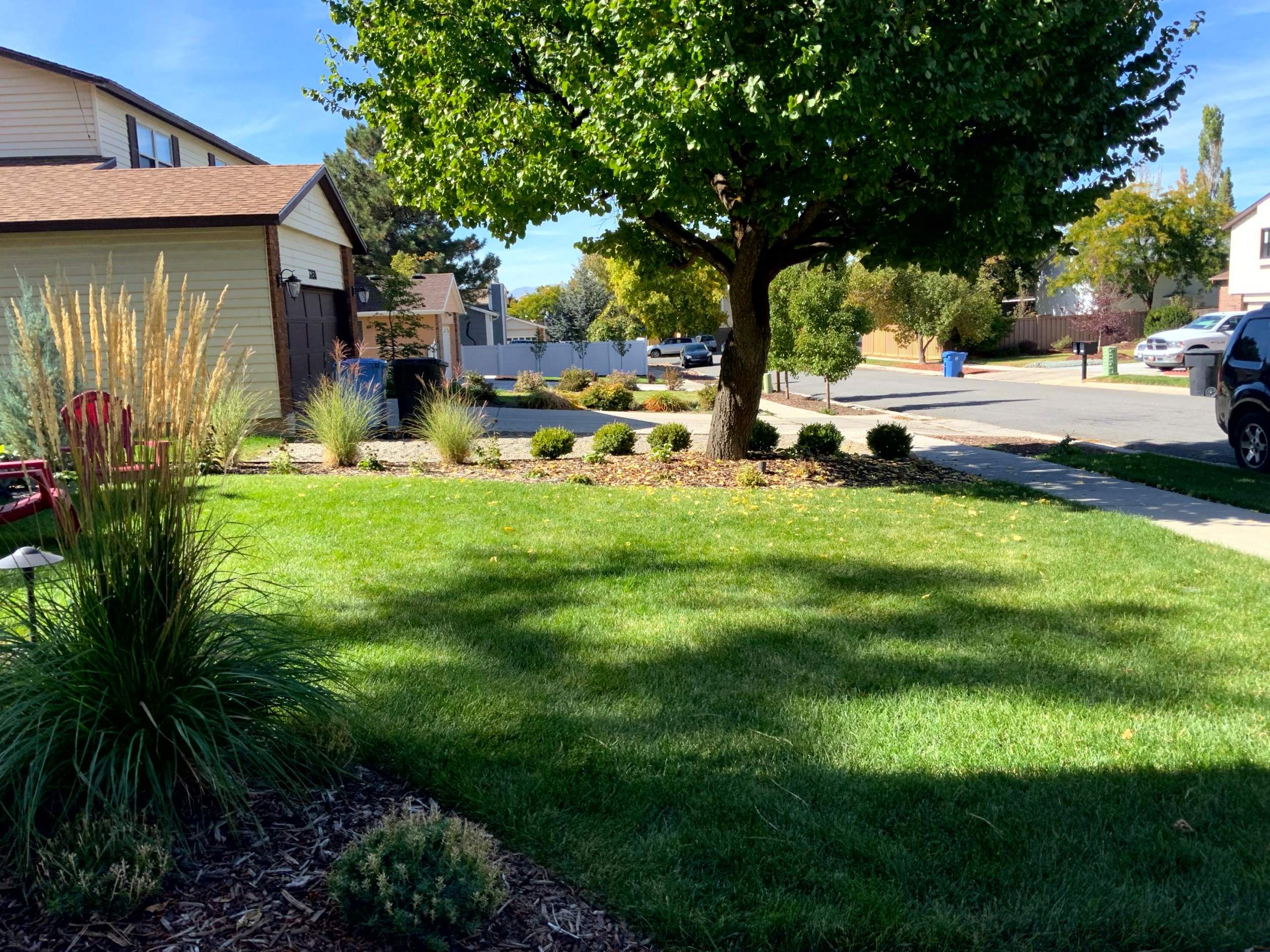 Pollinator Garden