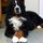 anne_sundquist